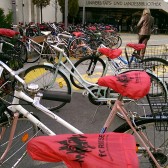 Bike Promo 2013